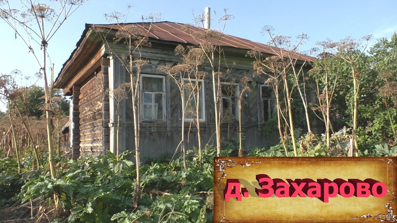 Деревни в глубинке России. Деревня Захарово. Полузаброшенная деревня в зарослях. Покинутые дома.