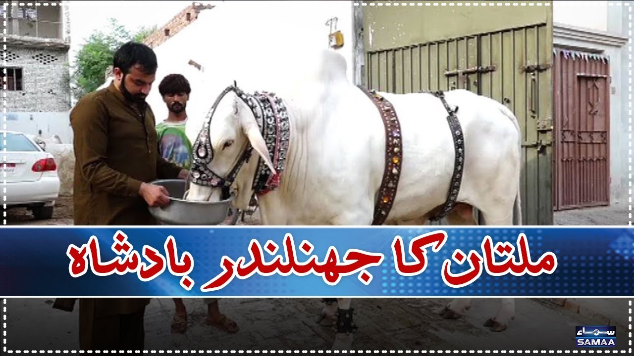 Multan Ka Jhalandar Badshah | SAMAA TV