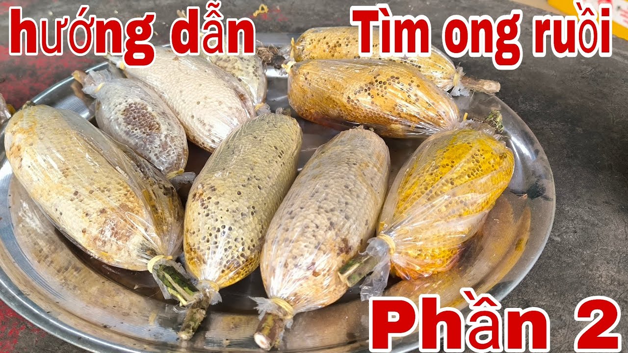 Chia sẻ cách tìm ong ruồi núp lùm cho người mới vào nghề tập 2