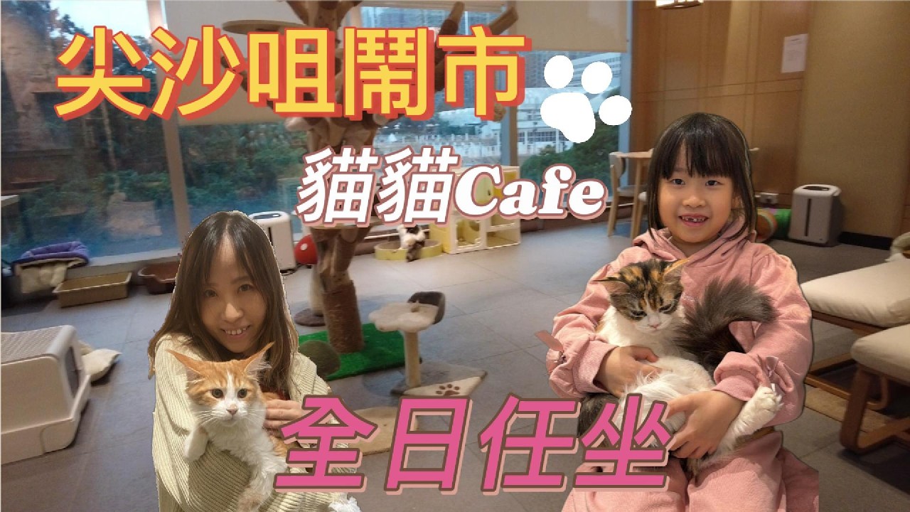 【貓奴必去🐱】尖沙咀最抵貓Cafe☕？不限時一個價錢包野飲任坐到關店？｜鬧市中的貓貓天堂｜尖沙咀高CP值貓Cafe開箱｜原來尖沙咀有間咁嘅地方？｜週末同小朋友去放空最啱！｜慢生活｜絕對是鬧市避世首選