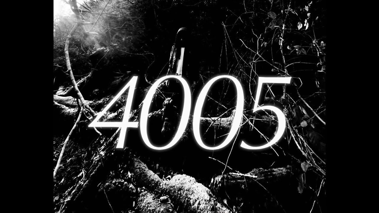 Lowsatt, Stilwitz - 4005