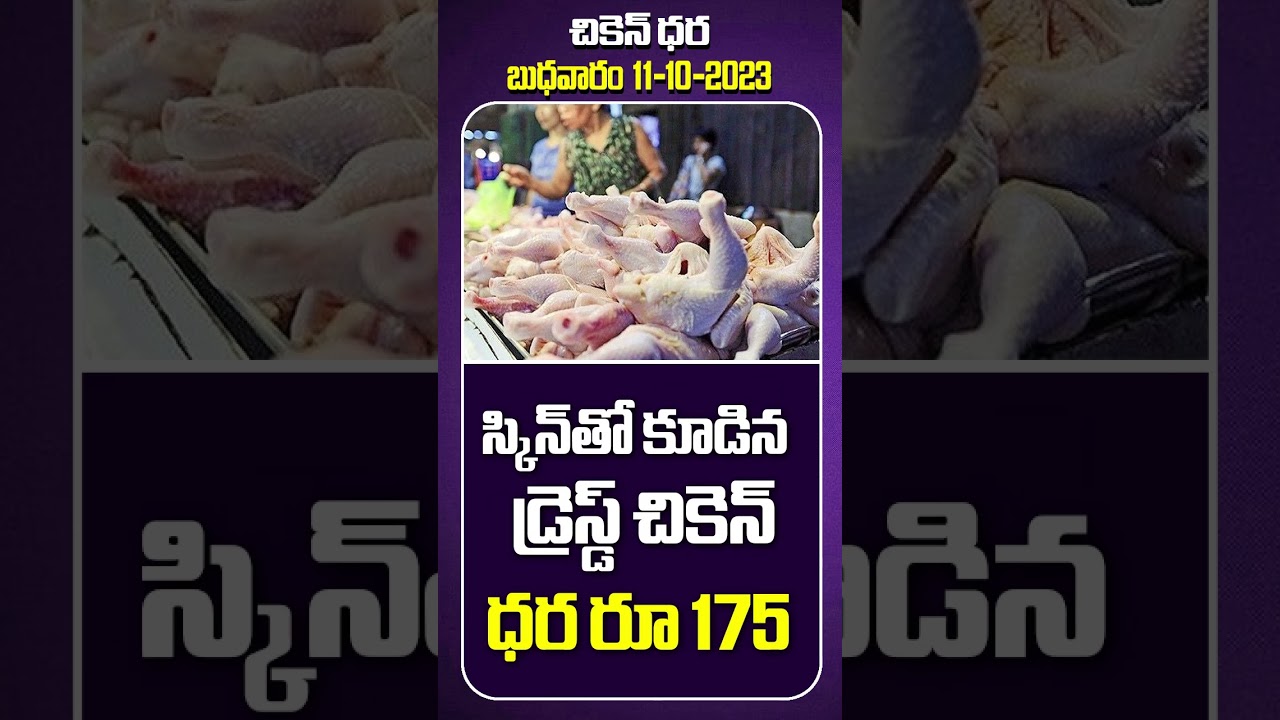 చికెన్ ధర 11-10-2023 || Today Chicken Price In Hyderabad || Chicken Rate || #chickenrate #ytshorts