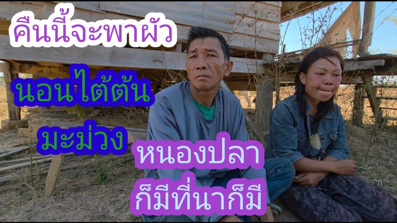 เอื้อยมดบอกว่าผัวจะทำได้ไหมที่นาก็มีแต่ว่าอ้ายจ่อยพูดแบบนี่✌️😥🇱🇦❤️🇹🇭#บ่าวลาวพาเพลิน#13/2/26