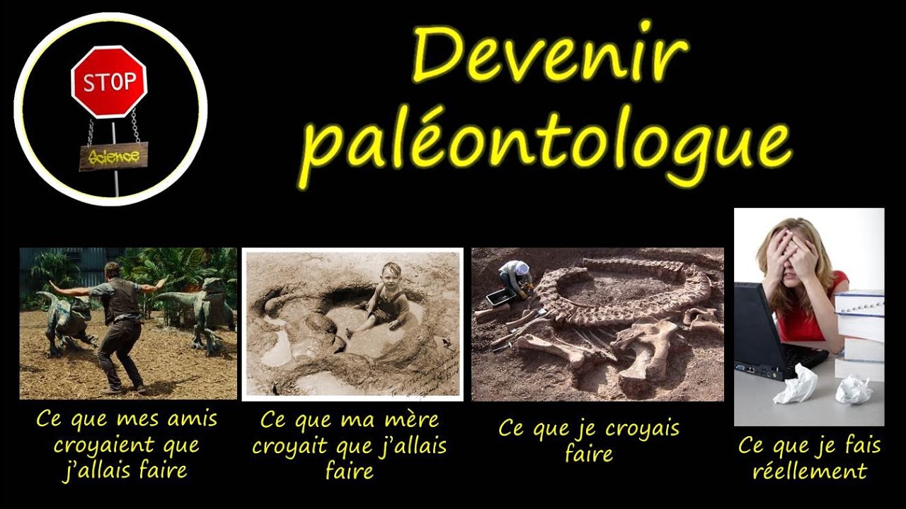 FAQ: Comment devenir Paléontologue ?