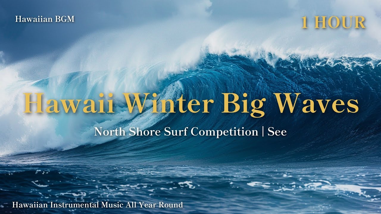 1 Hour BGM | Hawaii Winter Big Waves | North Shore Surf Competition | See the Ocean, Hear the Waves