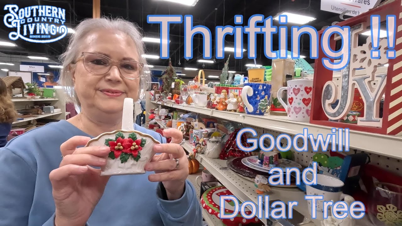 Thrifting !!  --  Goodwill and Dollar Tree