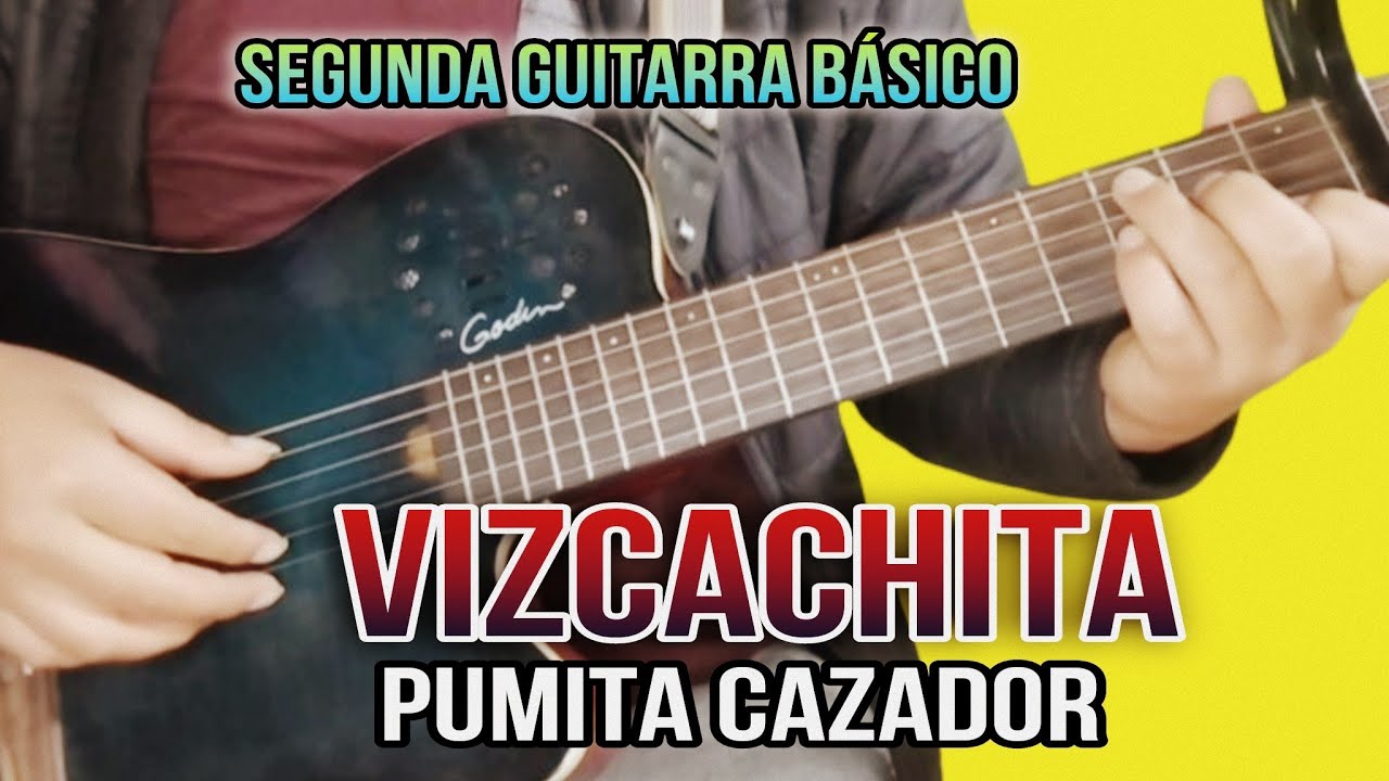 segunda guitarra - tema vizcachita de Pumita cazador