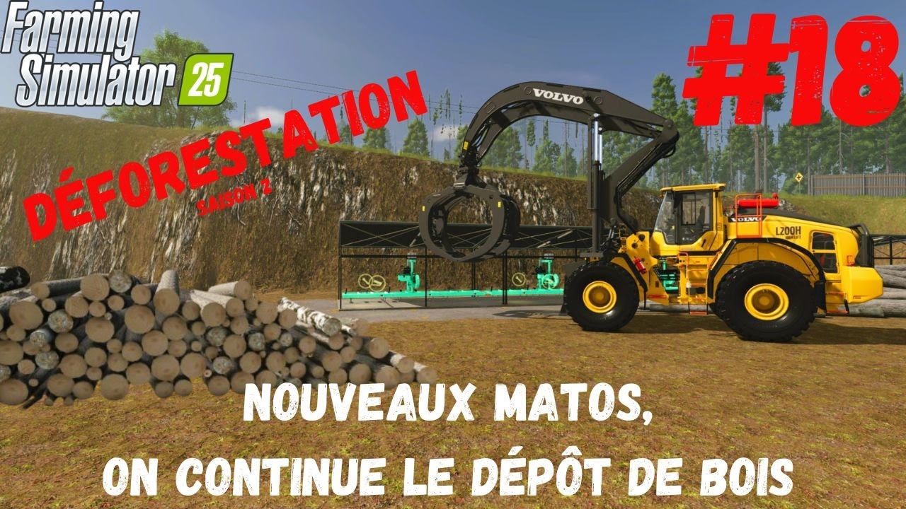 on continue le dépôt de bois 18