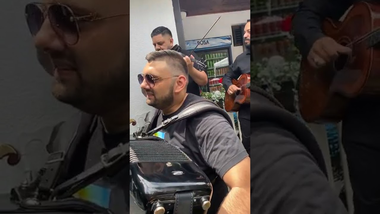 Blizanci Bojan Gula gipsy serbian music 🇷🇸 LA RECE