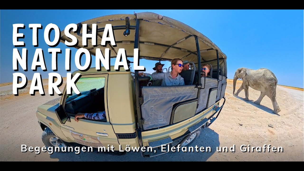 Auf Safari als Familie mit Teenagern im Etosha Nationalpark – Begegnungen mit Löwen und Elefanten