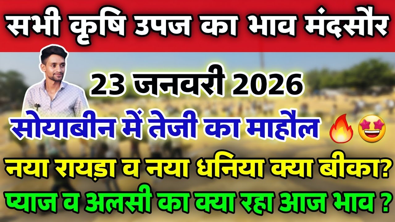 सभी कृषि उपज का भाव मंदसौर मंडी 23 जनवरी 2026 | Mandsaur Mandi ka bhav #mandsaur_mandi_bhav 