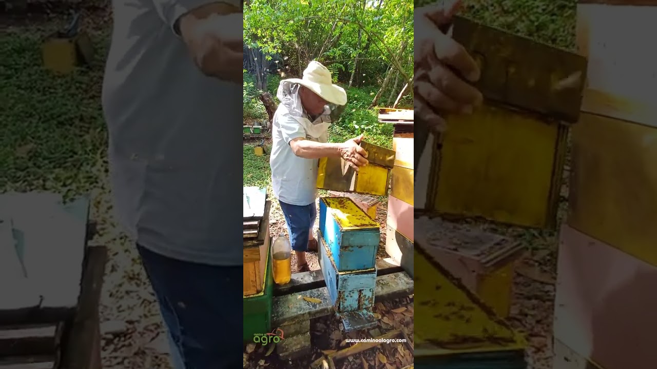 Palmer San  Andrés Multifuncional