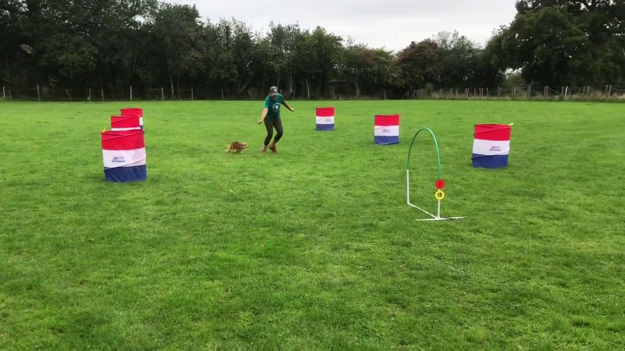 Different handling styles in hoopers