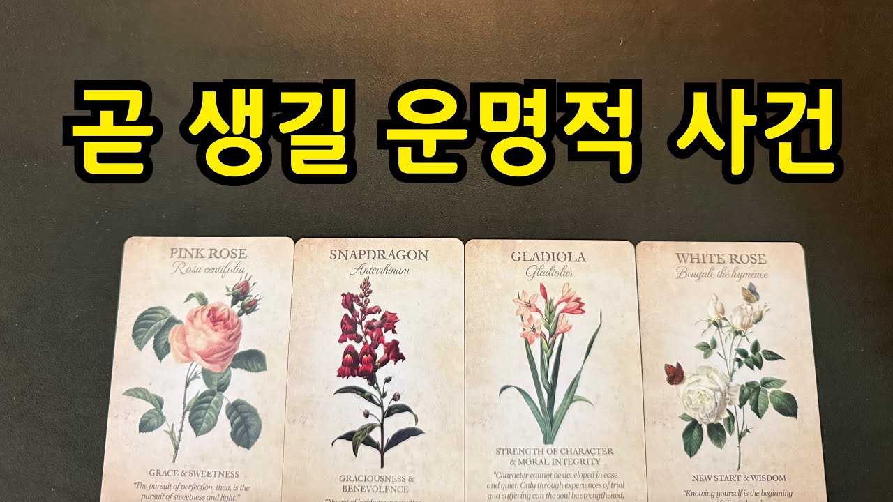 타로-곧 생길 운명적 사건🦄