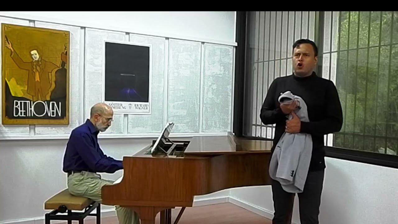 Vecchia zimarra, senti