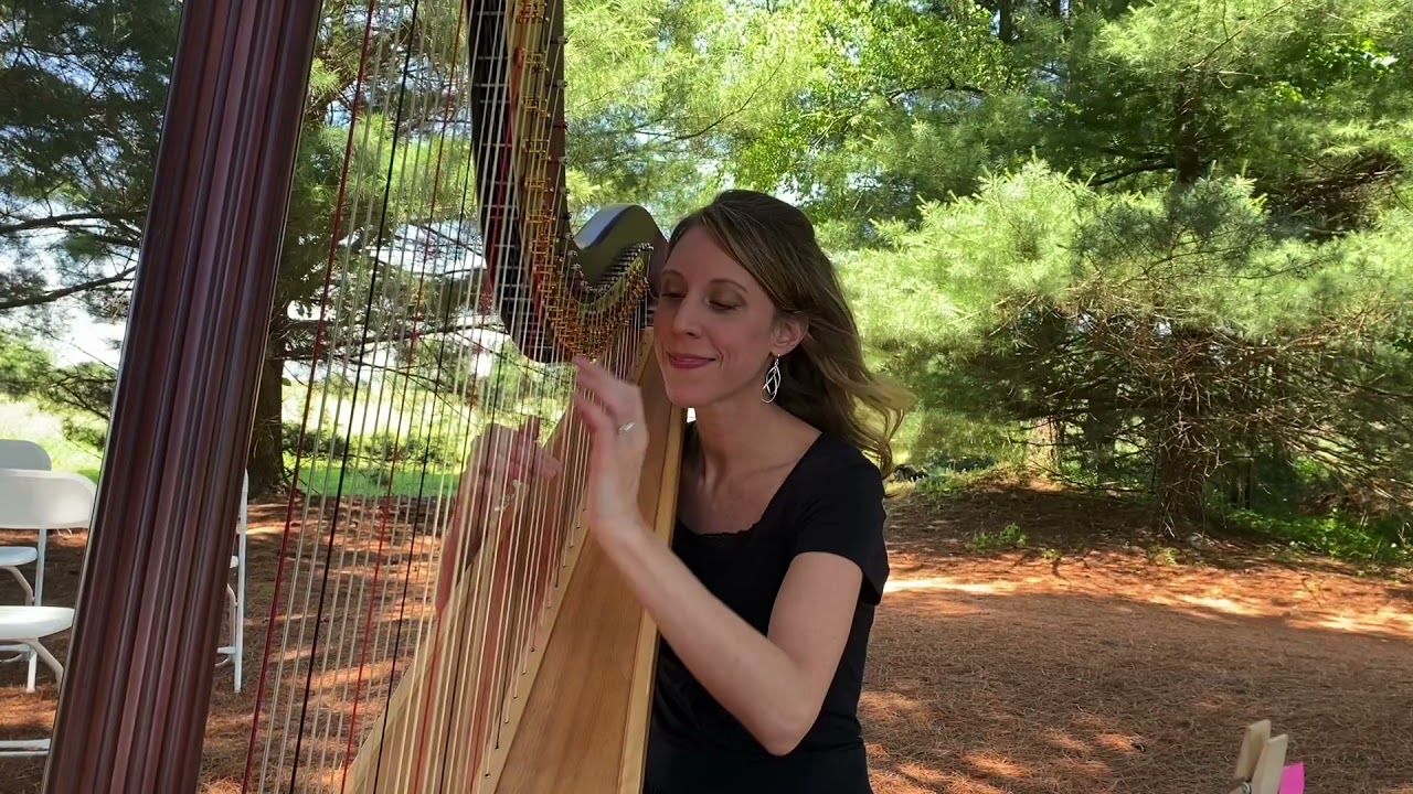 Happy Together by The Turtles~ Tiffany Jones, Harpist