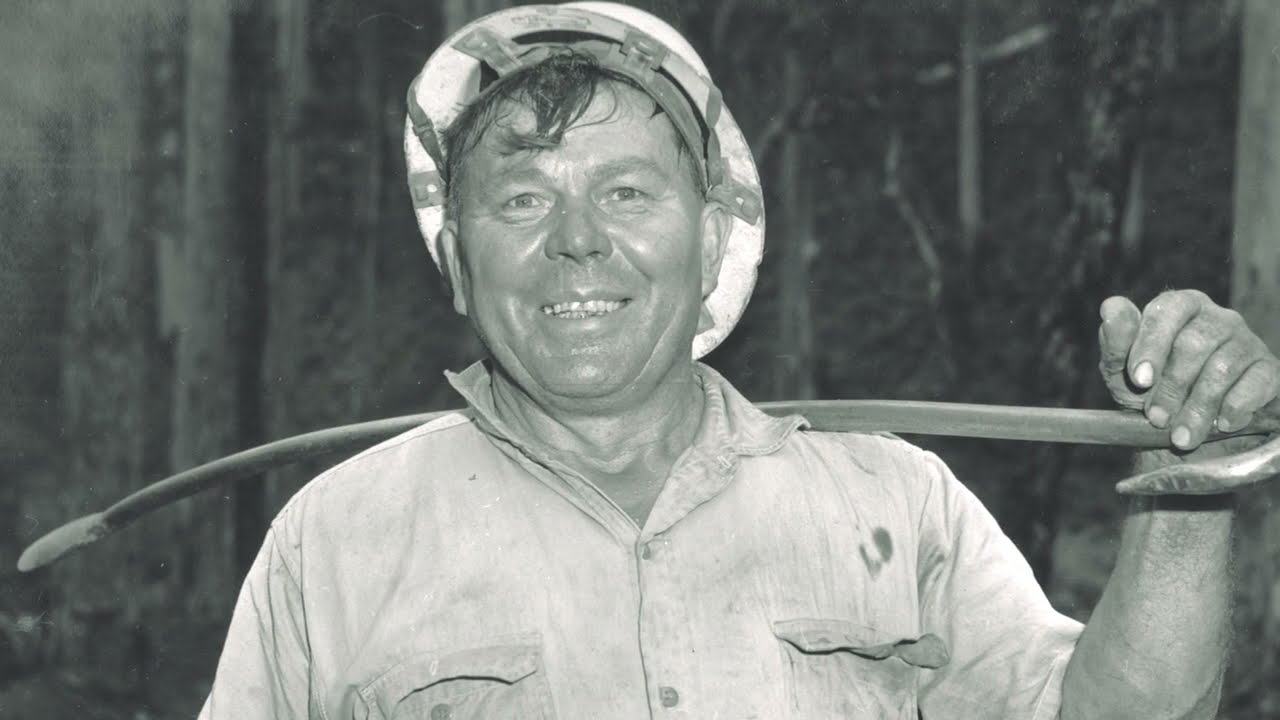 The Donnelly: Jack’s Shack Revisited