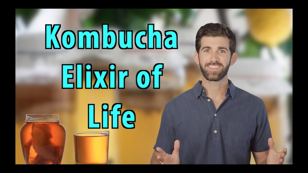 Top 5 Reasons to Drink Kombucha Everyday