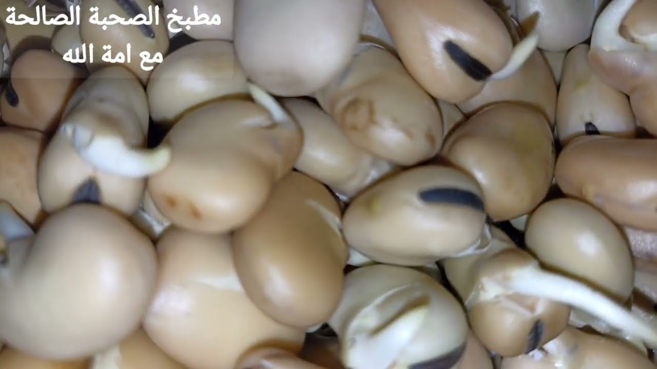 طريقة الفول النابت من تنبيت الفول وحفظه لاحلى شوربة فول حصري بطريقة امي وجدتي