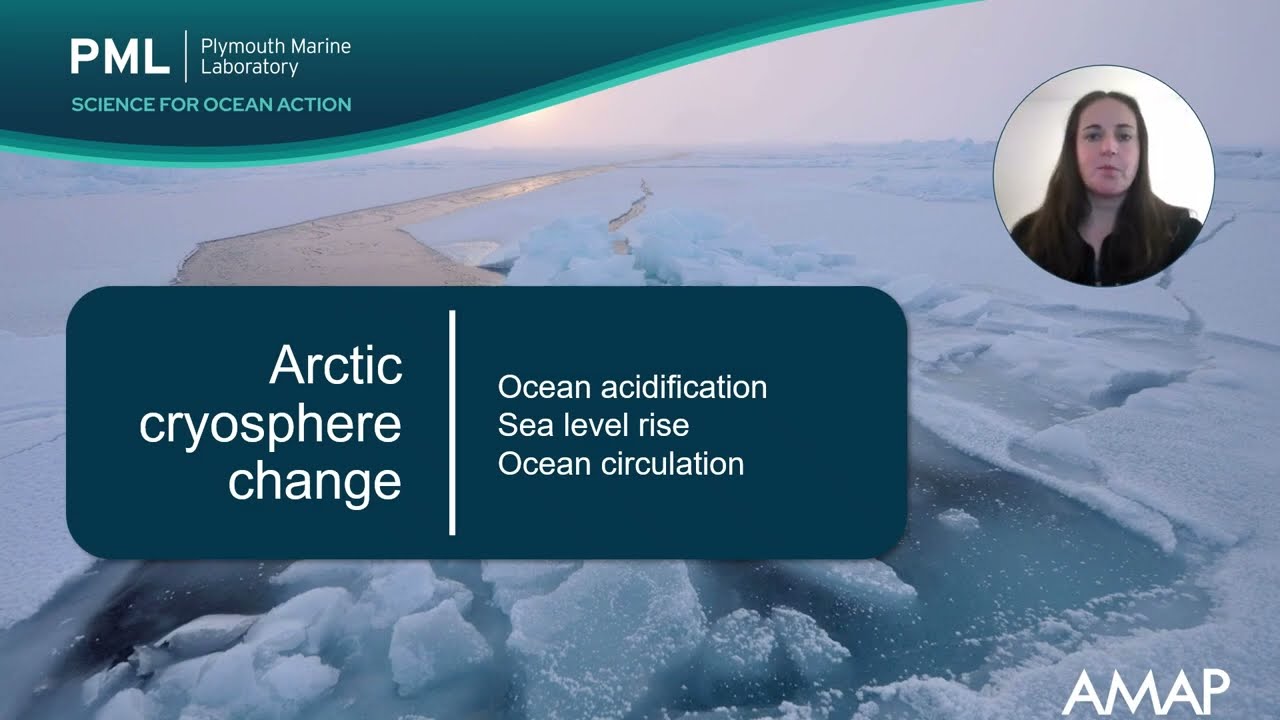 Acidifying Oceans, Melting Ice & the Race to Cut Emissions