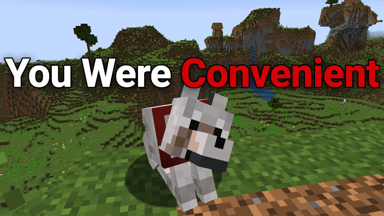 You Were Convenient