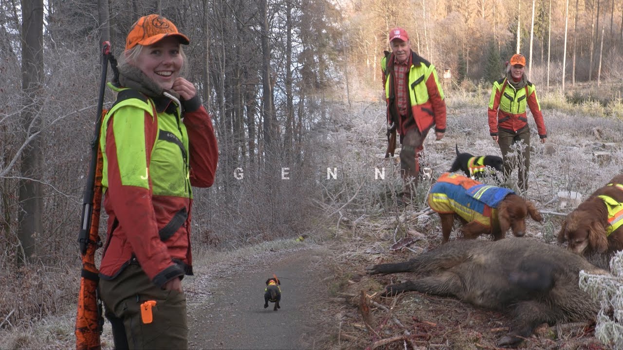 Trailer &ndash; Dr&uuml;ckjagd mit der Lohmann-Meute &ndash; Zwischen Irish Settern und Dackeln &ndash; die ersten Minuten