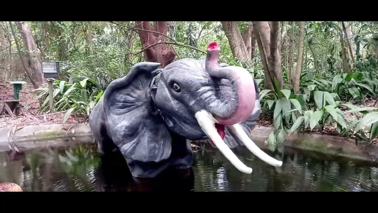 Vamos pal Parque Norte Medellin, Turismo Local