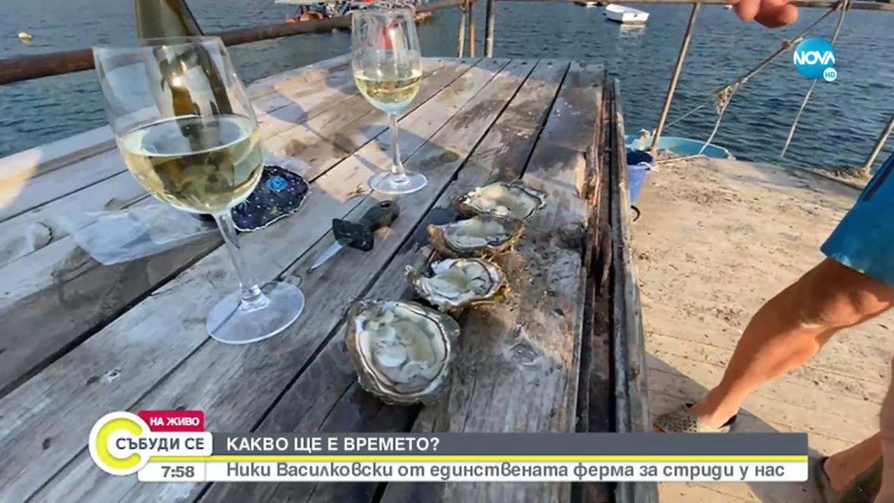 Къде се намира единствената ферма за стриди у нас? - Събуди се...(22.08.2021)