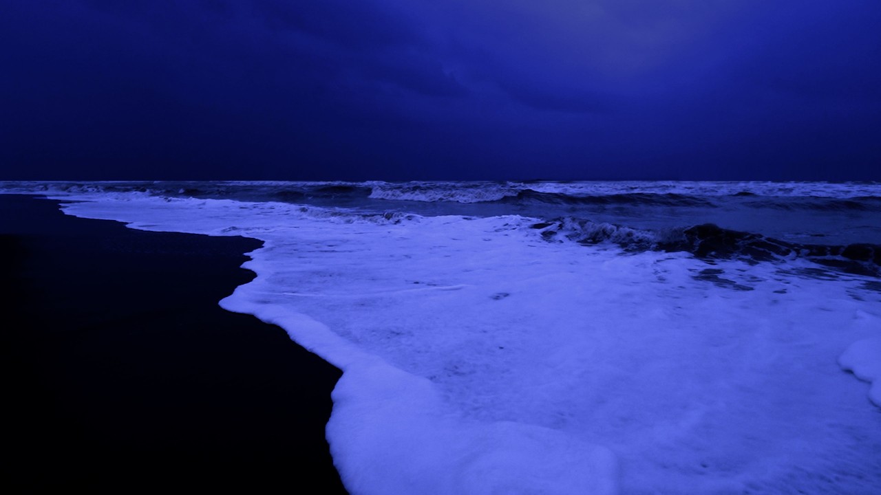 Ocean Waves for Deep Sleep - Ocean Sounds Relaxing Sleep to Calm Thoughts and Reduce Stress