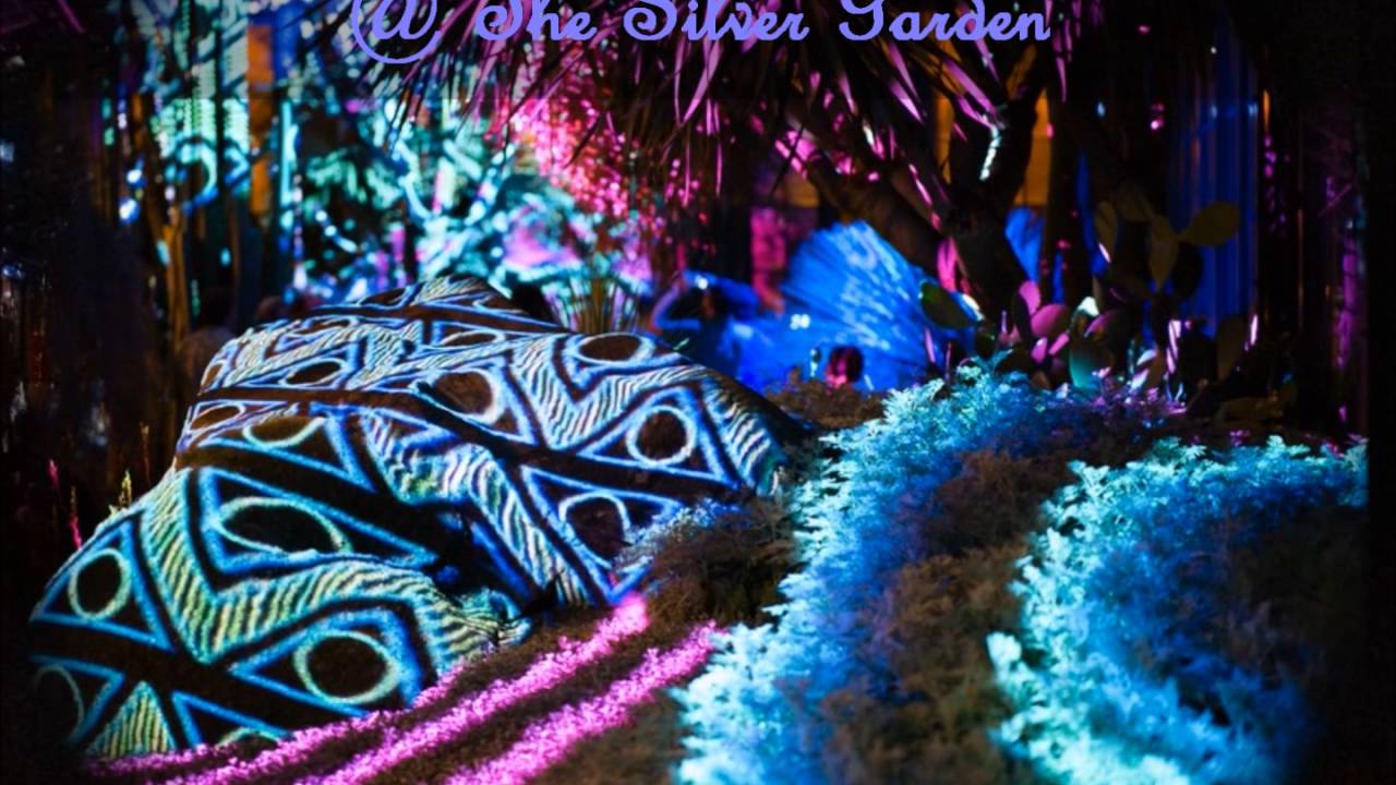 Longwood Gardens Nightscape 2016