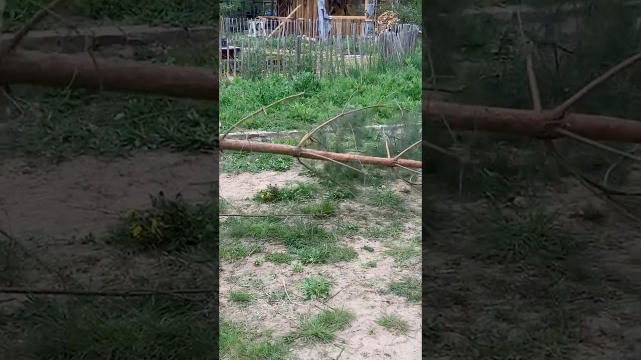 🇬🇧 X28i Chipper in the Extreme Test! 😲🚀🌿 Prototype. SKARPER&reg; Professional