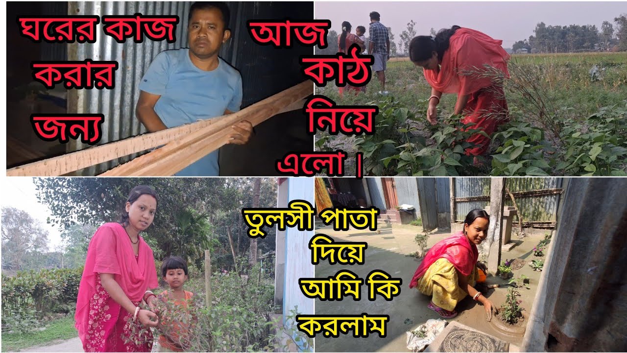 ঘরেরকাজের জন্য কাঠ নিয়ে এলো |আমরা কি তবে সরকারি ঘর পেলাম?