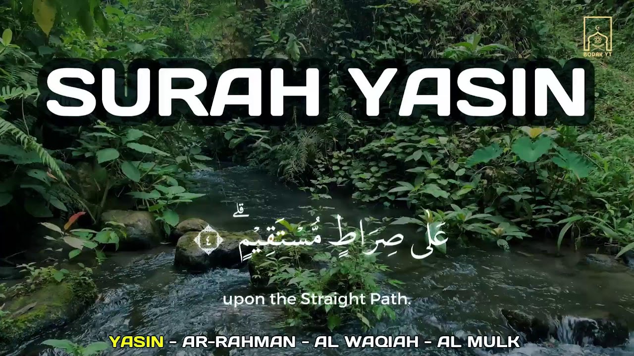 Peaceful Quran for Deep Sleep – Surah Yasin, Al-Mulk, Ar-Rahman, Al-Waqiah