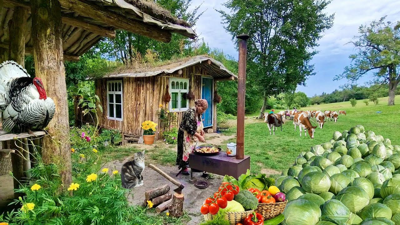 Жареная Капуста.  Готовим Мясо с Овощами на Садже.  @Kənd Dadı