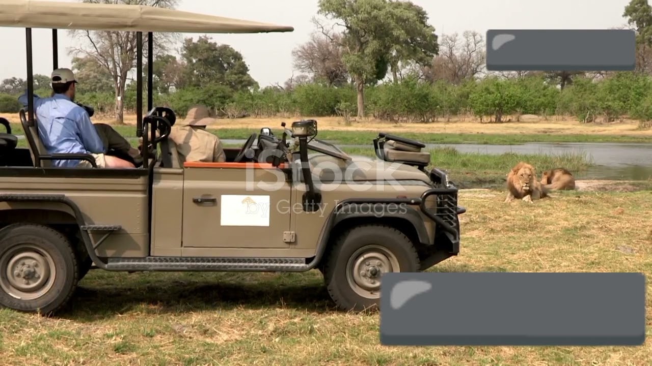 20 real life safari trips that went horribly wrong 😂🤣