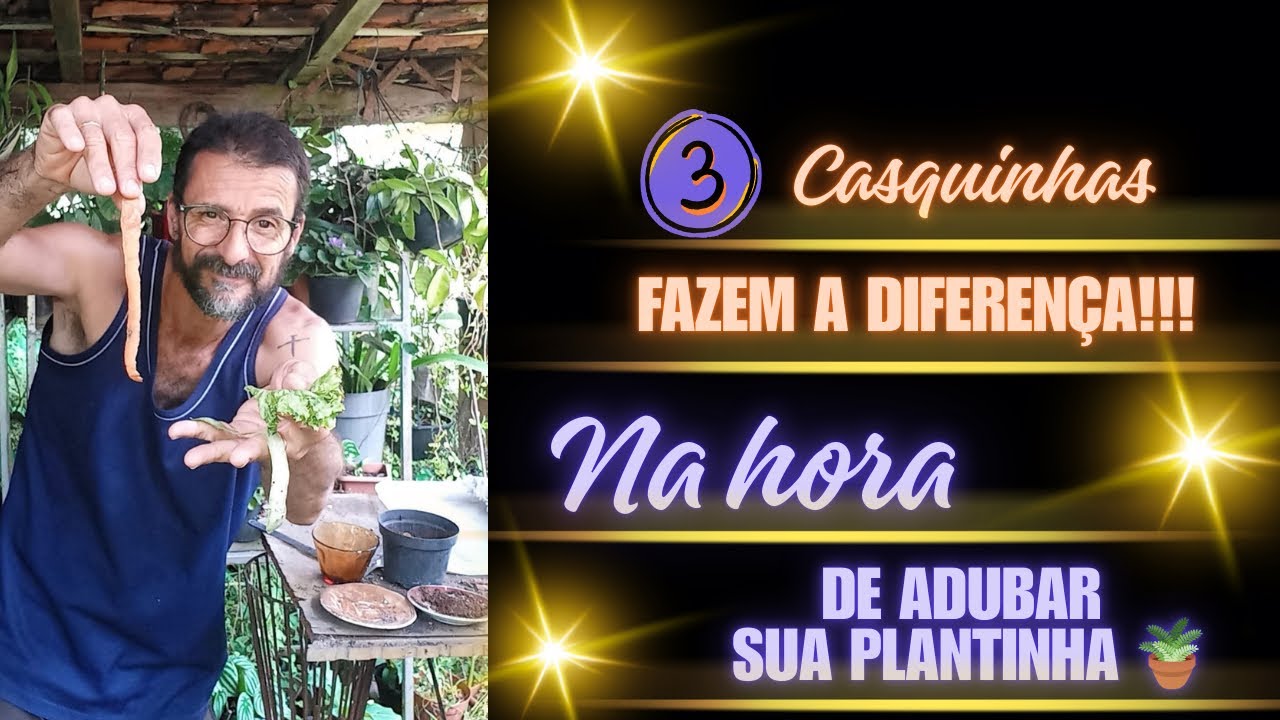 Pepino, alface  e cenoura  !!! Que bem faz as nossas... Plantas e flores. 