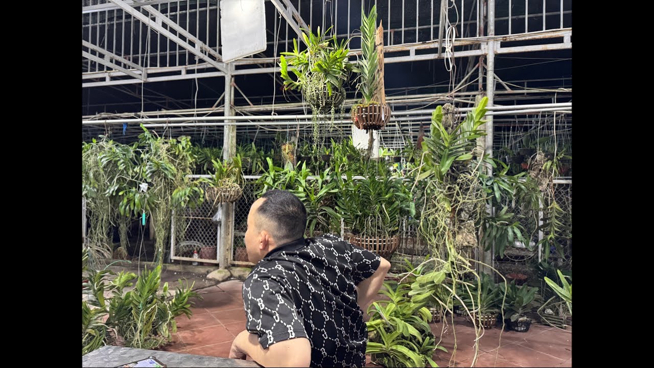 19/3 XẢ HÀNG VƯỜN 0906110068