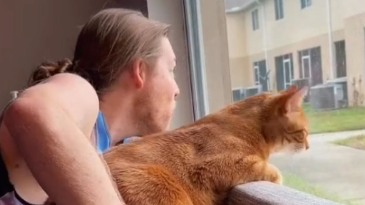 He Spent 30 Days on the Floor for This Cat — Then This Moment Happened