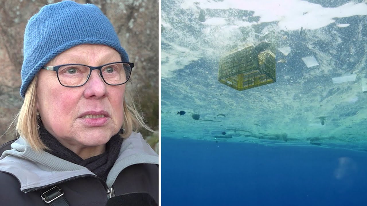 Skr&auml;ckprognosen: Plasten i haven kommer fyrdubblas | TV4Nyheterna | TV4 & TV4 Play