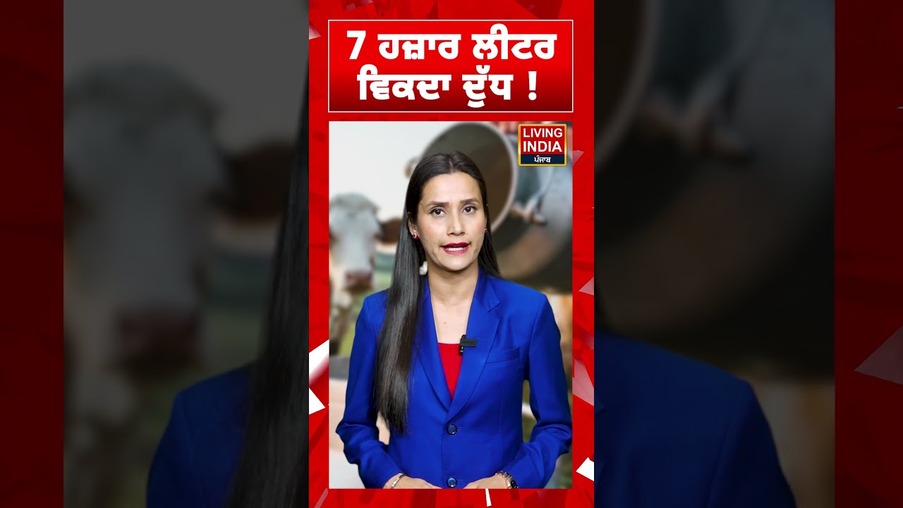 7 ਹਜ਼ਾਰ ਲੀਟਰ ਵਿਕਦਾ ਦੁੱਧ! Dairy Business | Milk Sale | Farm Success | #shortvideo