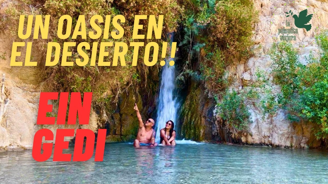Ein Gedi, Reserva Natural | Un día de relax | un Oasis entre de las montañas del Desierto de Judea.