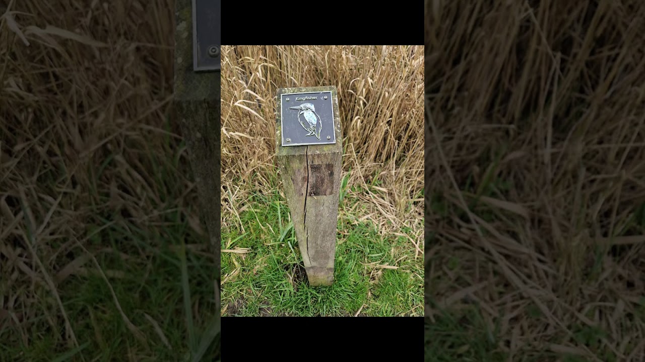 Lowestoft. Carlton Marshes 1,000 acres of wilderness 07/03/2026