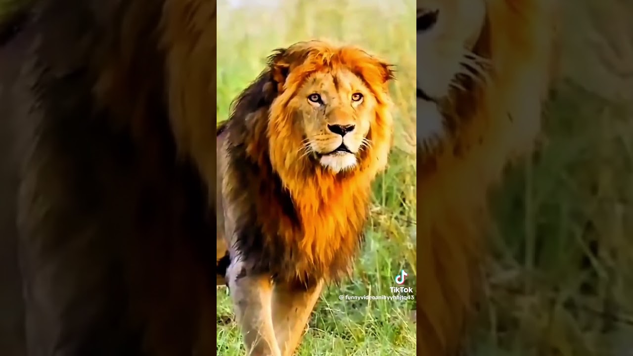 30 июля 2026 г.