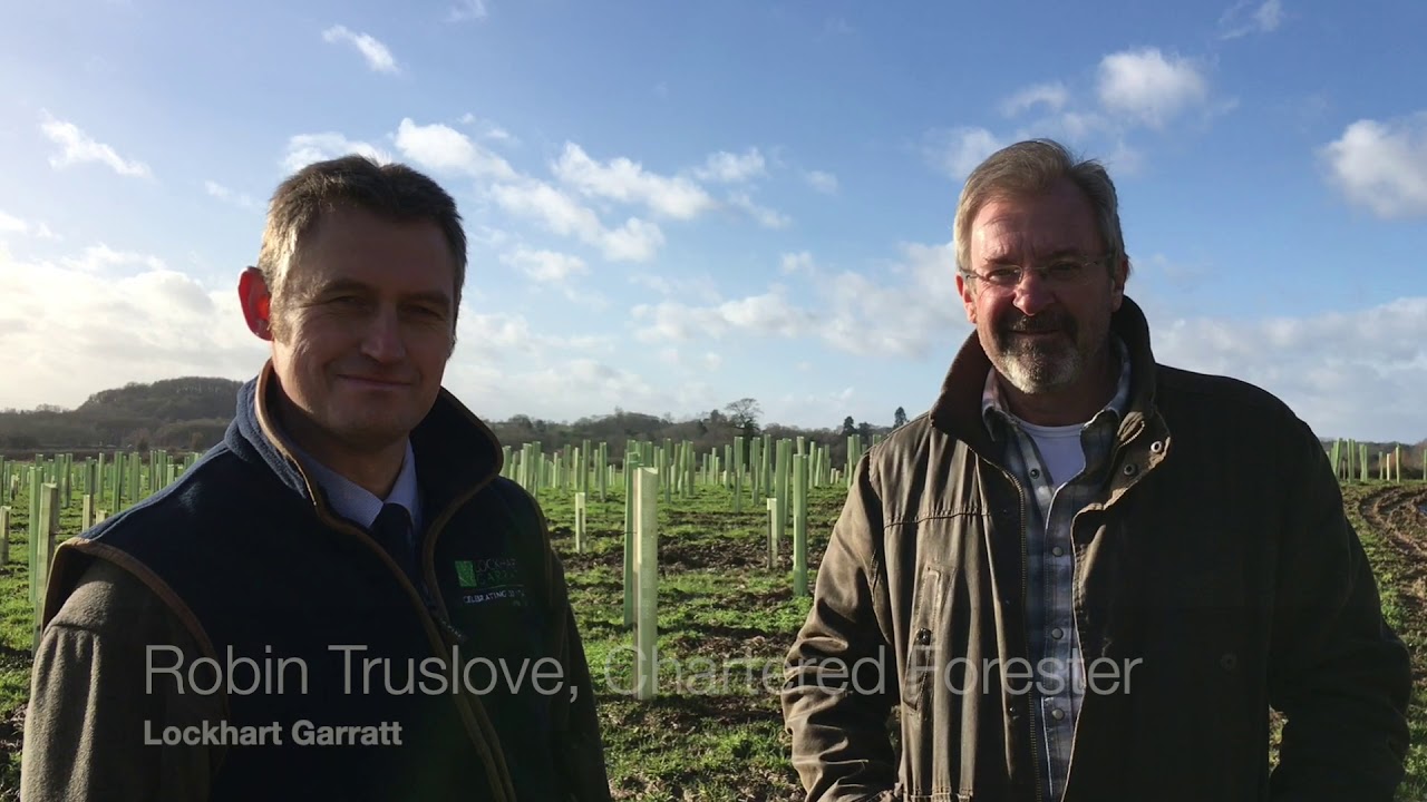 HS2 Woodland Fund - Case Study