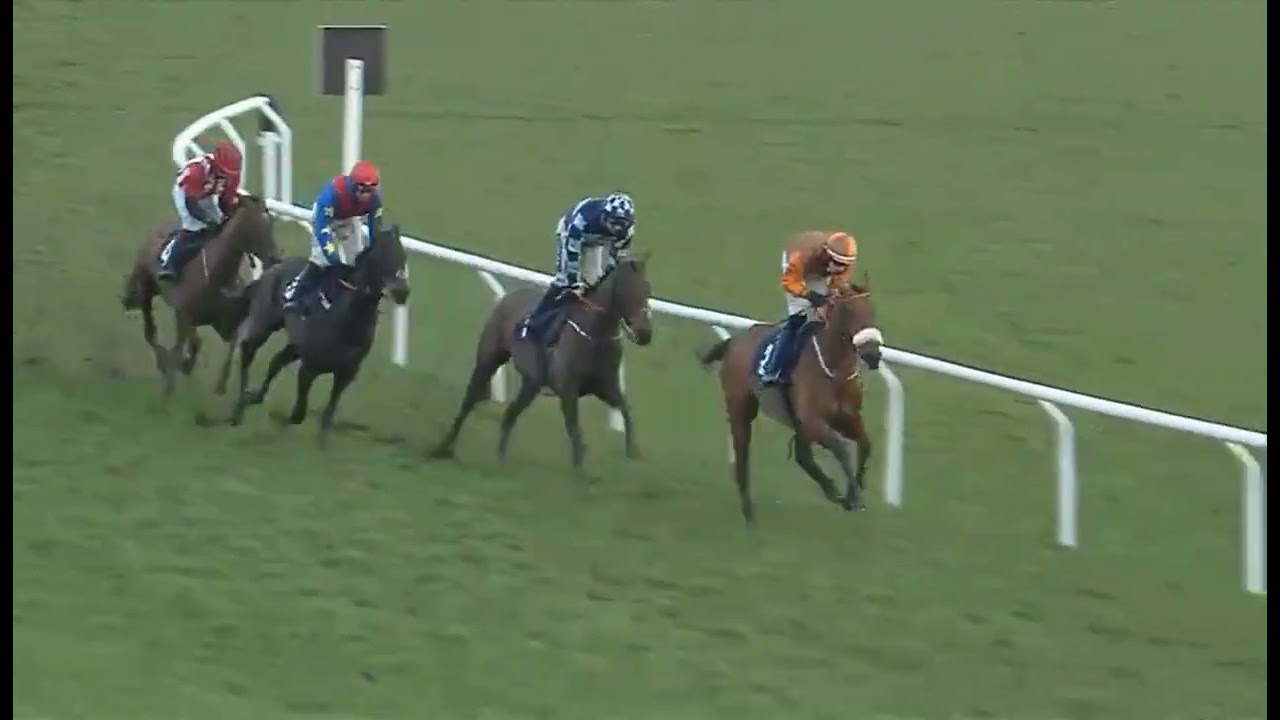 RACE 3 FFOS LAS UK  -  20 FEB 2026