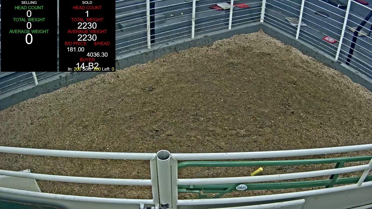 Everson Auction Market Live Stream 3/14/2026