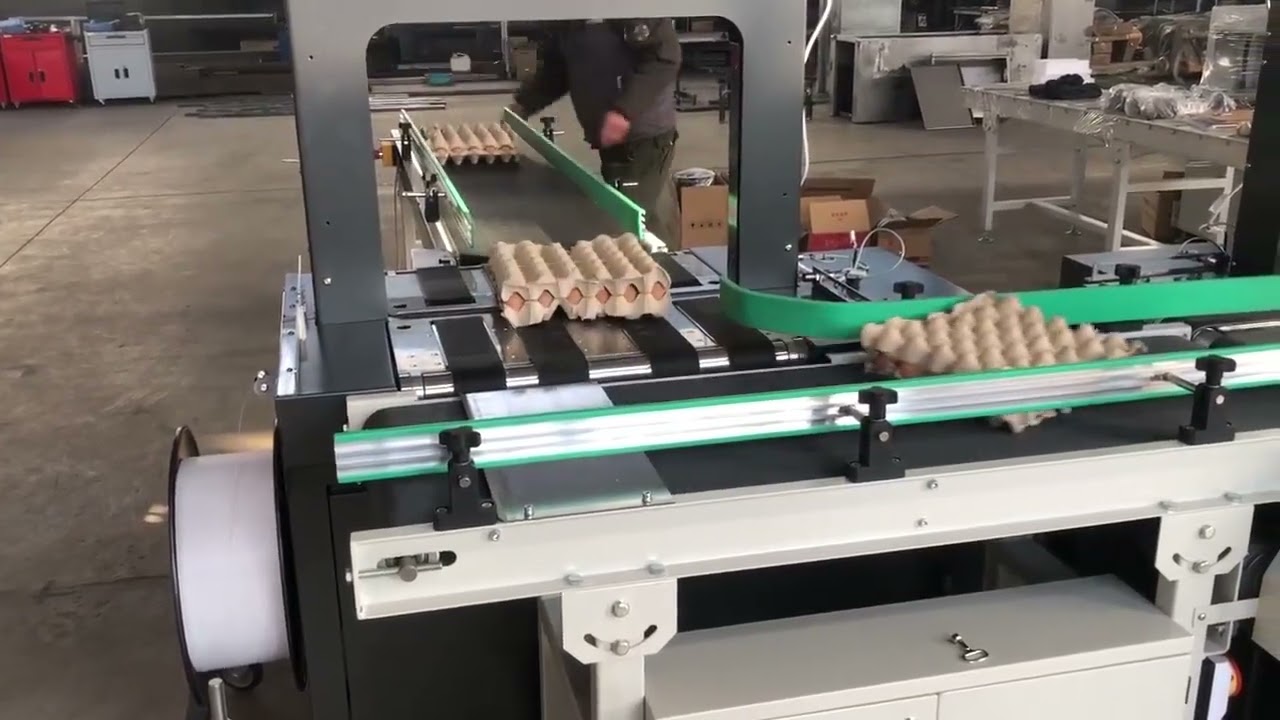 Automatic Box Case Carton Strapping Machine for Egg Tray #strapping #strappingmachine