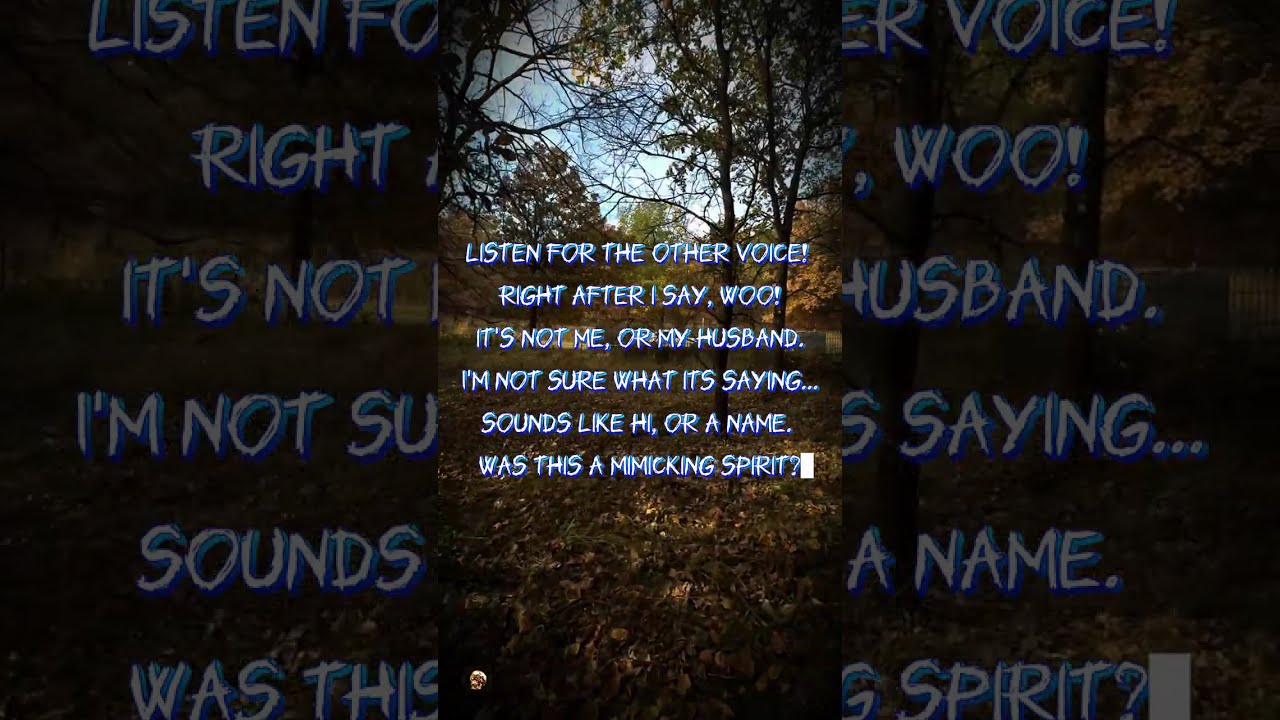 My Ovilus Screamed This at Labadie Cemetery....