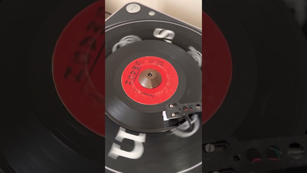 The ambers - potion of love