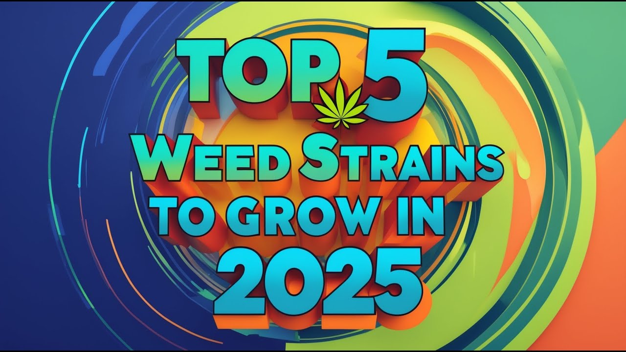Top 5 Weed Strains to Grow in 2025